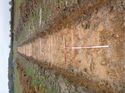 Thumbnail of Photo 1010597 north view of trench 90 taken at Hunts Green Farm