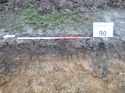 Thumbnail of Photo 1010599 west facing representative section of trench 90 taken at Hunts Green Farm