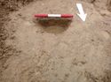 Thumbnail of Photo 1010608 north facing section of posthole [906202] taken at Hunts Green Farm