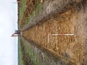 Thumbnail of Photo 1010611 west view of trench 93 taken at Hunts Green Farm
