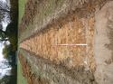 Thumbnail of Photo 1010614 east view of trench 93 taken at Hunts Green Farm