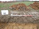Thumbnail of Photo 1010615 south facing representative section of trench 93 taken at Hunts Green Farm