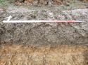 Thumbnail of Photo 1010616 south facing representative section of trench 93 taken at Hunts Green Farm