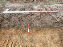 Thumbnail of Photo 1010617 south facing representative section of trench 93 taken at Hunts Green Farm