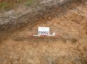 Thumbnail of Photo 1010618 southeast facing section of bioturbation [909002] taken at Hunts Green Farm