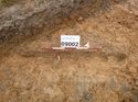 Thumbnail of Photo 1010619 southeast facing section of bioturbation [909002] taken at Hunts Green Farm