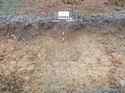 Thumbnail of Photo 1010623 east facing section of ditch [909004] taken at Hunts Green Farm