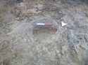Thumbnail of Photo 1010633 north facing section of posthole [909302] taken at Hunts Green Farm