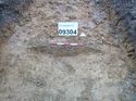 Thumbnail of Photo 1010634 east facing section of bioturbation [909304] taken at Hunts Green Farm