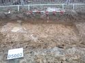 Thumbnail of Photo 1010636 north facing section of pond [905002] taken at Hunts Green Farm