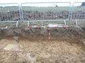 Thumbnail of Photo 1010637 north facing section of pond [905002] taken at Hunts Green Farm