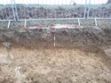 Thumbnail of Photo 1010638 north facing section of pond [905002] taken at Hunts Green Farm