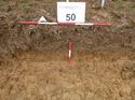 Thumbnail of Photo 1010644 north view of trench 50 taken at Hunts Green Farm