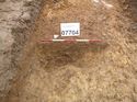 Thumbnail of Photo 1010645 north facing section of bioturbation [907704] taken at Hunts Green Farm