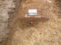 Thumbnail of Photo 1010646 north facing section of bioturbation [907704] taken at Hunts Green Farm
