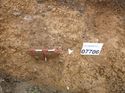 Thumbnail of Photo 1010650 north facing section of natural feature [907706] taken at Hunts Green Farm