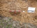 Thumbnail of Photo 1010651 north facing section of natural feature [907706] taken at Hunts Green Farm