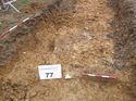 Thumbnail of Photo 1010656 northwest view of natural within trench 77 taken at Hunts Green Farm