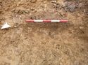 Thumbnail of Photo 1010657 northwest view of natural within trench 77 taken at Hunts Green Farm