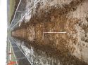 Thumbnail of Photo 1010667 south view of trench 67 taken at Hunts Green Farm