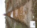 Thumbnail of Photo 1010671 west view of trench 26 taken at Hunts Green Farm