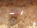 Thumbnail of Photo 1010682 north facing section of land drain [902604] taken at Hunts Green Farm