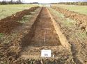 Thumbnail of Photo 1010697 north view of trench 99 taken at Hunts Green Farm