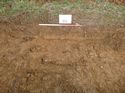 Thumbnail of Photo 1010700 west facing representative section of trench 99 taken at Hunts Green Farm
