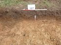 Thumbnail of Photo 1010710 north facing representative section of trench 107 taken at Hunts Green Farm