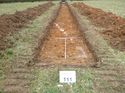 Thumbnail of Photo 1010711 north facing representative section of trench 107 taken at Hunts Green Farm