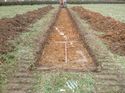 Thumbnail of Photo 1010712 east view of trench 111 taken at Hunts Green Farm