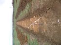 Thumbnail of Photo 1010716 west view of trench 111 taken at Hunts Green Farm
