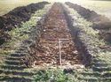 Thumbnail of Photo 1010727 south view of trench 126 taken at Hunts Green Farm