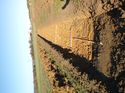 Thumbnail of Photo 1010729 north view of trench 126 taken at Hunts Green Farm