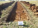 Thumbnail of Photo 1010732 southwest view of trench 117 taken at Hunts Green Farm