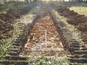 Thumbnail of Photo 1010737 south view of trench 144 taken at Hunts Green Farm