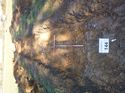 Thumbnail of Photo 1010738 north view of trench 144 taken at Hunts Green Farm