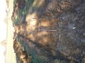 Thumbnail of Photo 1010739 north view of trench 144 taken at Hunts Green Farm