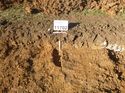 Thumbnail of Photo 1010747 south facing section of ditch terminus [911702] taken at Hunts Green Farm