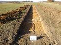 Thumbnail of Photo 1010758 north view of trench 142 taken at Hunts Green Farm