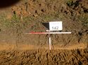 Thumbnail of Photo 1010761 west facing representative section of trench 142 taken at Hunts Green Farm