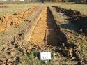 Thumbnail of Photo 1010764 east view of trench 137 taken at Hunts Green Farm