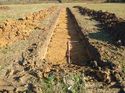 Thumbnail of Photo 1010765 east view of trench 137 taken at Hunts Green Farm