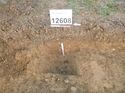 Thumbnail of Photo 1010774 west facing section of natural feature [912608] taken at Hunts Green Farm