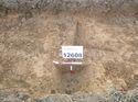 Thumbnail of Photo 1010776 east facing section of natural feature [912608] taken at Hunts Green Farm