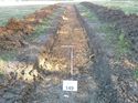 Thumbnail of Photo 1010789 northeast view of trench 149 taken at Hunts Green Farm