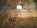 Thumbnail of Photo 1010791 south facing representative section of trench 149 taken at Hunts Green Farm
