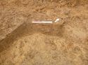 Thumbnail of Photo 1010802 southeast facing section of bioturbation [913204] taken at Hunts Green Farm