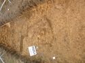 Thumbnail of Photo 1010805 southeast facing section of bioturbation [913204] taken at Hunts Green Farm