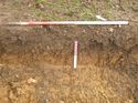 Thumbnail of Photo 1010815 southwest facing representative section of trench 148 taken at Hunts Green Farm